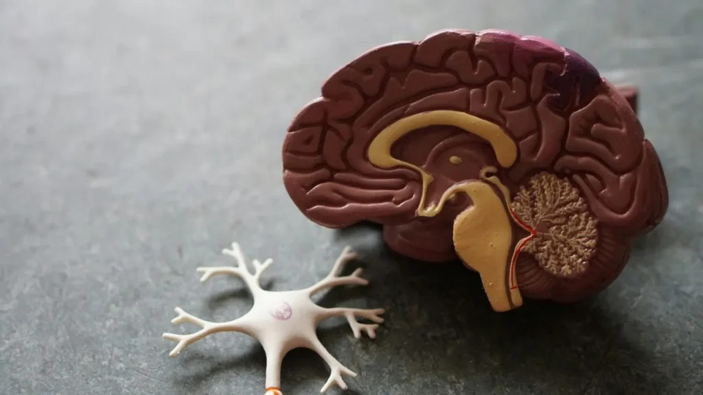 stages of dementia